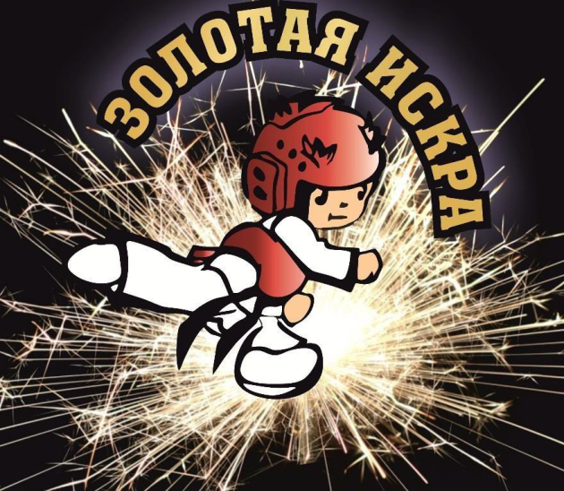 Всероссийские соревнования по тхэквондо Золотая Искра